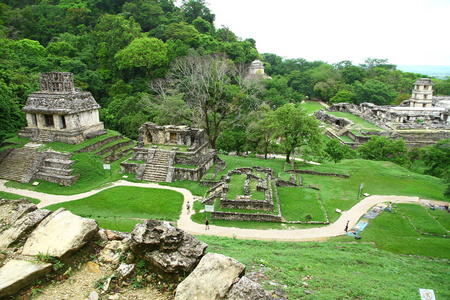 废墟 墨西哥 旅行 古老的 玛雅人 墨西哥人 建筑学 丛林