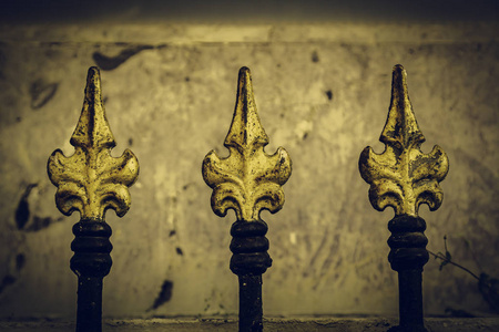 古董 栅栏 花的 房子 黄铜 金属 纹理 复古的 篱笆 美女