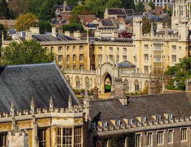 英国 剑桥郡 鸟瞰图 建筑 学院 牛桥 建筑学 天线 天际线