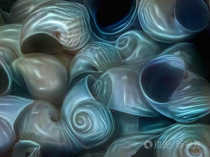 海的 海岸 美女 月亮 艺术 海滨 要素 夏天 水族馆 海螺