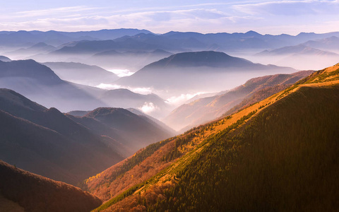 风景 日落 美丽的 旅行 小山 森林 欧洲 天空 旅游业