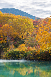 秋天 旅行者 风景 日本 东北 季节 旅游业 峡谷 亚洲
