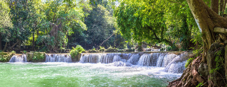 森林 丛林 冒险 自然 旅游业 小溪 公园 水塘 瀑布 美丽的