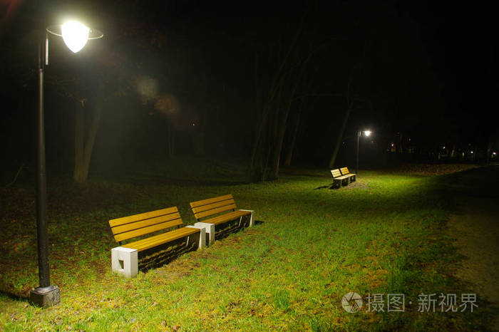 夜间城市公园的照明灯具