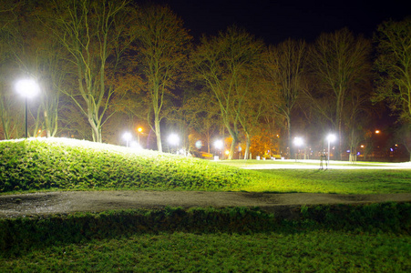 夜间城市公园的照明灯具