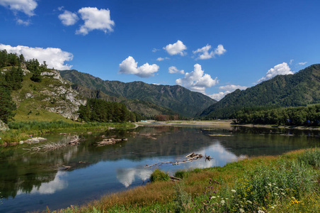 旅行 旅游业 风景 森林 加拿大 公园 池塘 国家的 天空