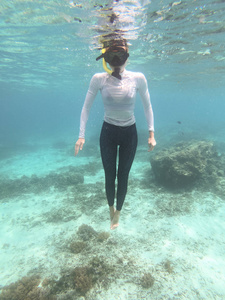 海滩 衬衫 自然 闲暇 冒险 环礁 目的地 莱卡 假日 暗礁