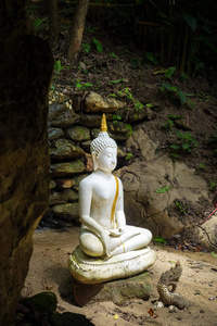 亚洲 地标 佛教徒 佛教 雨林 寺庙 旅行 旅游业 美丽的