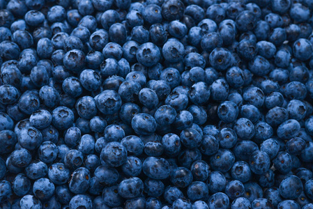 新鲜蓝莓背景。纹理蓝莓浆果特写。