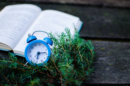 Open book and flowers for a good rest 