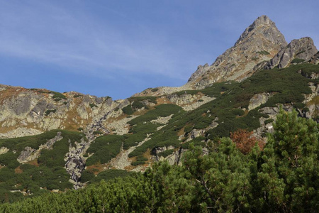 太阳 阳光 草地 美丽的 山谷 小山 自然 公园 高的 土地