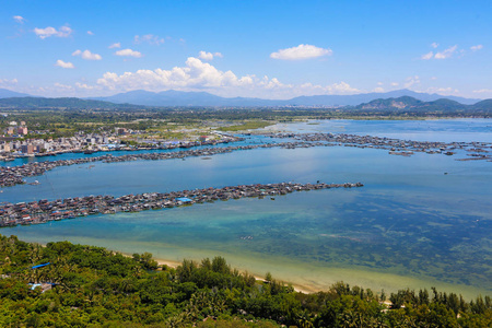 棕榈 村庄 乡村 美丽的 丛林 屋顶 夏天 墙纸 蓝天 缆车