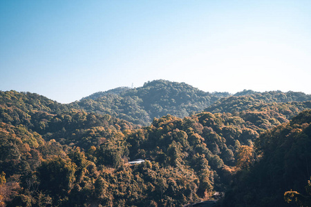 亚细亚乡村山村夜