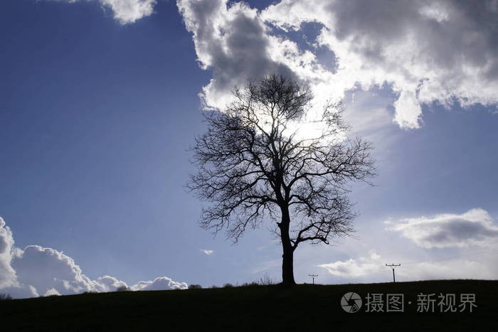 土地 孤独 草地 自然 风景 天空 夏天 空气 领域 瘟疫