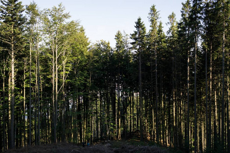 小山 山谷 旅游业 季节 假期 天空 精彩的 自然 旅行