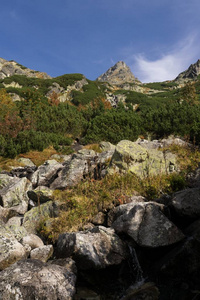 风景 徒步旅行 生态学 草地 阳光 山谷 森林 天空 国家