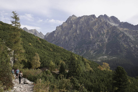 自然 美丽的 徒步旅行 公园 草地 花园 全景图 阳光 风景