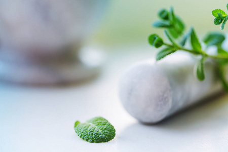 沙拉 颜色 树叶 花瓣 夏天 郁郁葱葱 季节 生长 开花