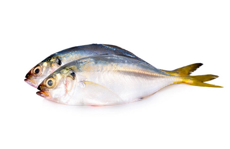 盒马鲜生logo白底全圆鲜马鲛鱼照片