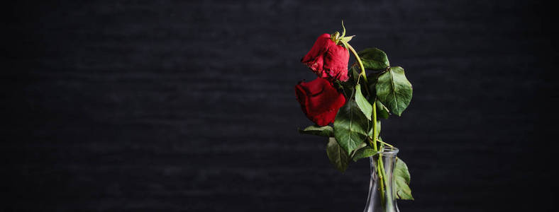 暗灰色背景下凋谢的玫瑰,木桌上摆着秋天的花瓣和树叶,设计理念是悲伤