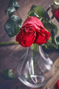 木桌上摆着秋天的花瓣和树叶,设计理念是悲伤的情人节浪漫,分手,复制