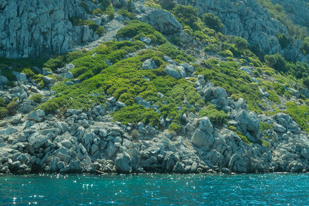 假期 风景 美女 杂草丛生 绿松石 巡航 泻湖 太阳 地中海