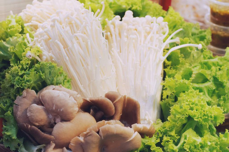 美味的 素食主义者 牛肝菌 美食家 烹饪 美丽的 帽子 苔藓