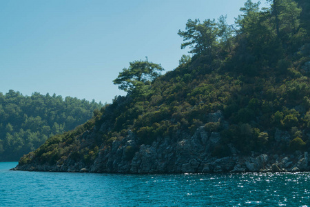 夏天 假日 反射 自然 风景 海滨 森林 美丽的 小山 美女