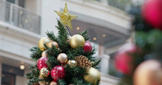 季节 分支 新的 美丽的 庆祝 松木 假日 自然 圣诞树
