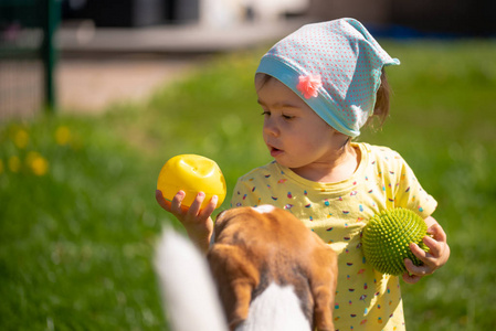 阳光明媚的小女孩和她的好朋友比格犬在后院玩耍.照片