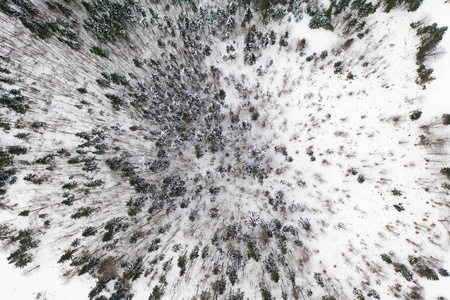 冬季风景的空中无人机视图。白雪覆盖的森林。