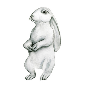 艺术 颜色 纸张 油漆 野兔 艺术品 冬天 纹理 有趣的