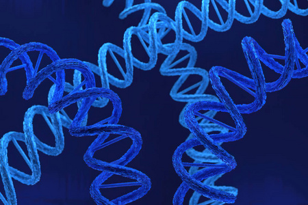 研究 健康 染色体 细胞 野生动物 螺旋线 科学 自然 生物学