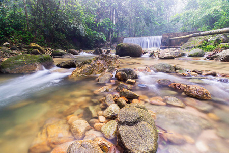 旅行 国家的 泼洒 马来西亚 运动 丛林 公园 树叶 流动