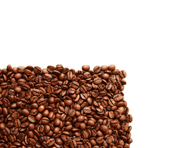 种子 咖啡馆 美食家 框架 能量 阿拉比卡咖啡 粮食