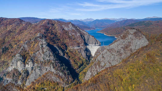 场景 风景 美丽的 地标 森林 公司 假期 喀尔巴阡山 冬天