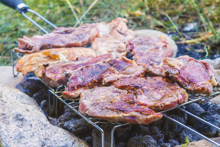 晚餐 自然 猪肉 森林 牛肉 烤肉串 烤架 食物 午餐 夏天