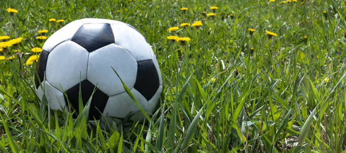 草地足球场上的足球