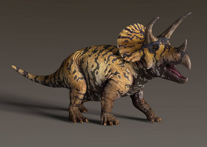 侏罗纪 怪物 爬行动物 三角龙 动物 生物 插图 素食主义者