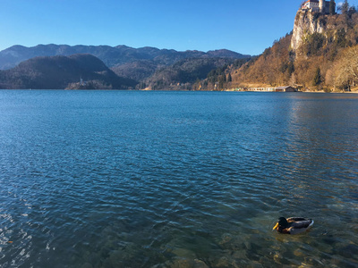 风景 地标 自然 海岸 欧洲