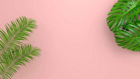 棕榈 广告 自然 三维 横幅 框架 植物学 要素 植物 美女
