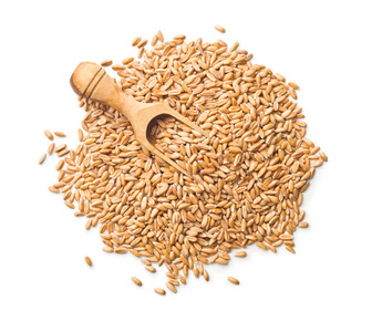 蛋白质 种子 谷物 全麦 营养 作物 自然 面筋 烹饪 生物