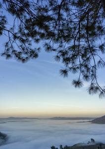 远景 地平线 黎明 风景 日落 早晨 见解 森林 框架 树叶