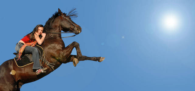 危险 种马 自然 盛装舞步 危险的 太阳 运动 骑手 动物
