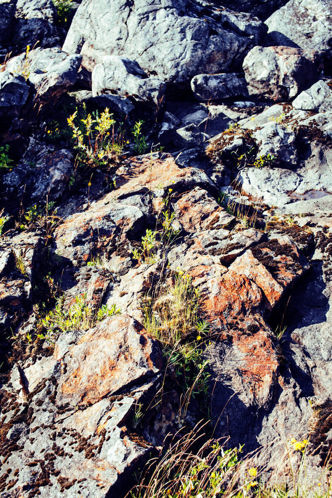 野生的北方自然景观湖边的岩石