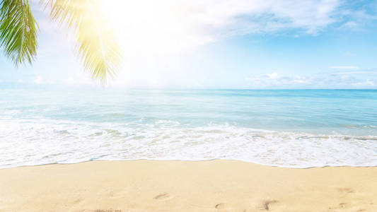 海滩 波动 自然 棕榈 太阳 海景 夏天 假期 风景 旅行