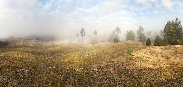 苍穹 天空 乡村 希思 自然 远景 全景图 森林 景象 见解