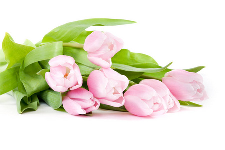 花束 粉红色 公司 春天 植物区系 植物 郁金香