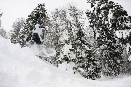 危险的 行动 兴奋 自然 寒冷的 阿尔卑斯山 空气 滑雪者