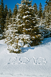 美丽的 寒冷的 全景图 环境 木材 假日 白霜 天空 徒步旅行